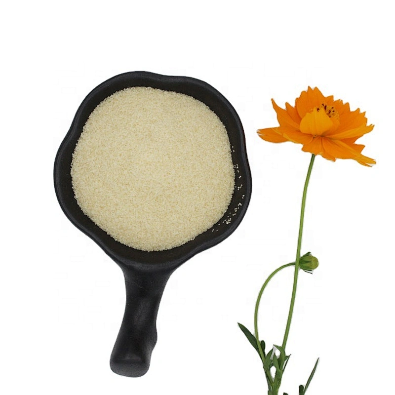 manufacturer halal powder food Additive Gelatin from China